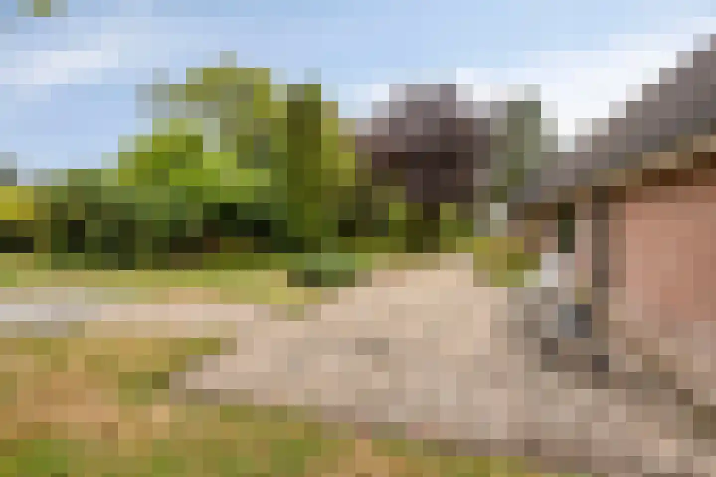Hoofdweg 55 Elsloo thumbnail 45