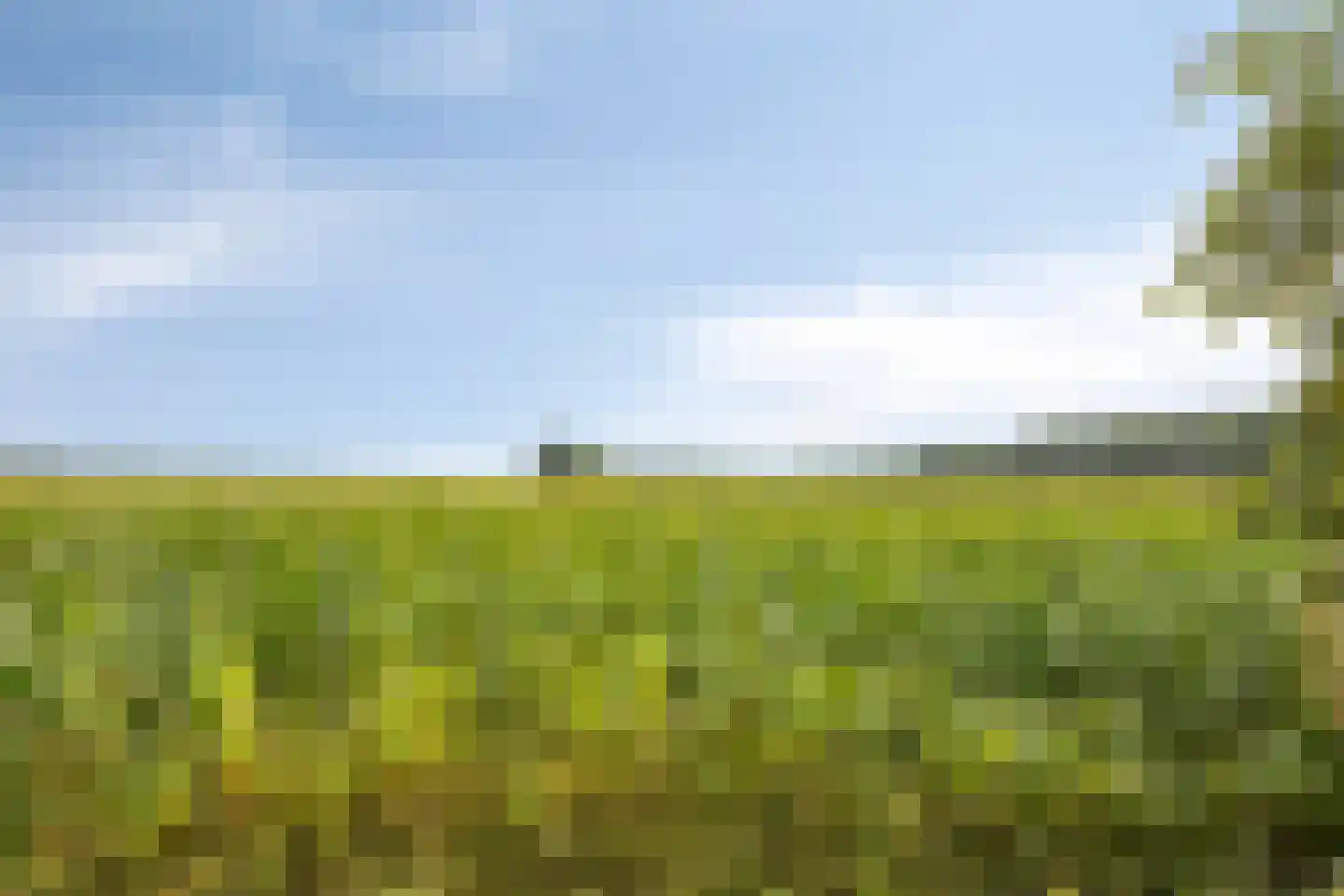 Hoofdweg 55 Elsloo thumbnail 50