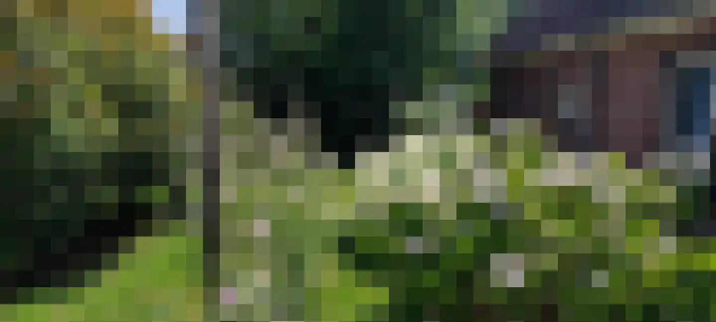 Hoofdweg 55 Elsloo thumbnail 52
