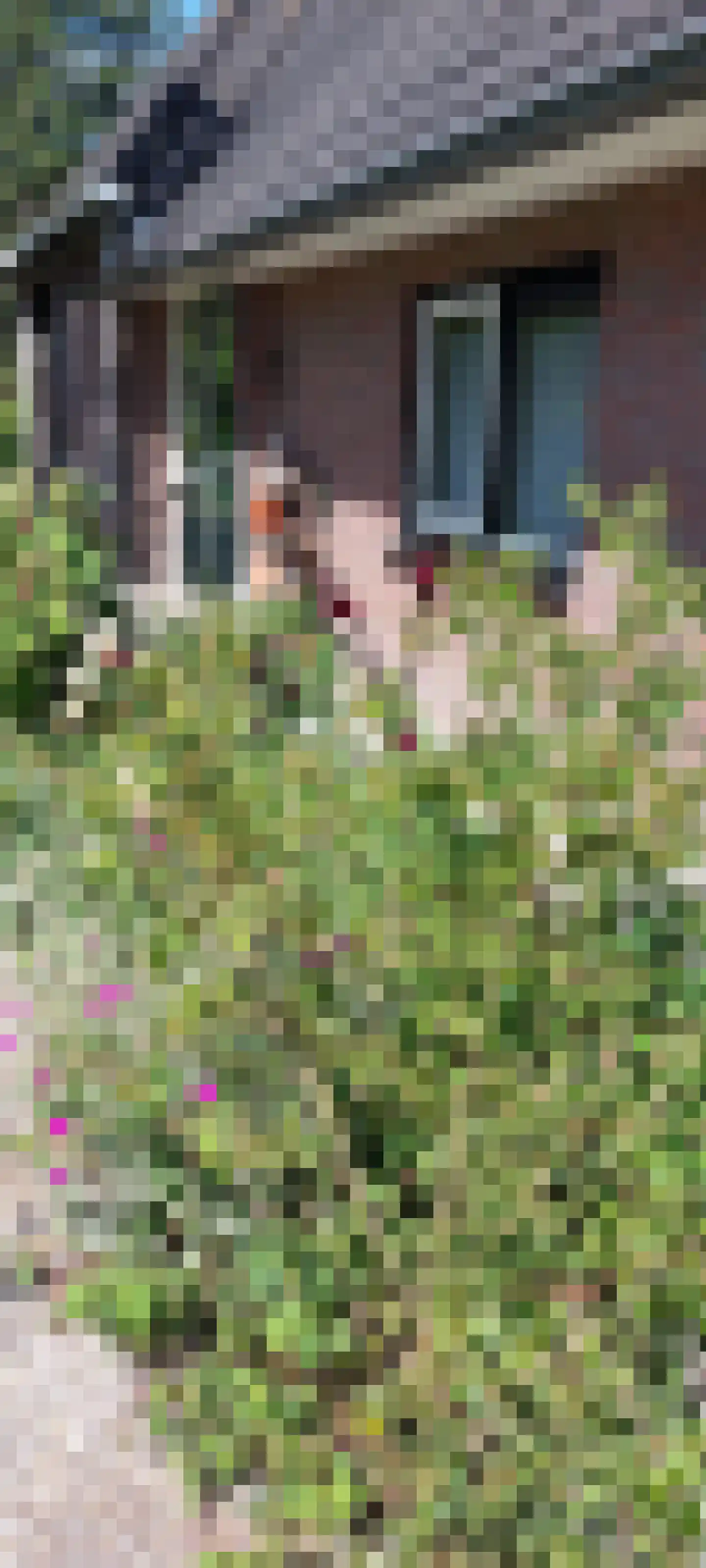 Hoofdweg 55 Elsloo thumbnail 54