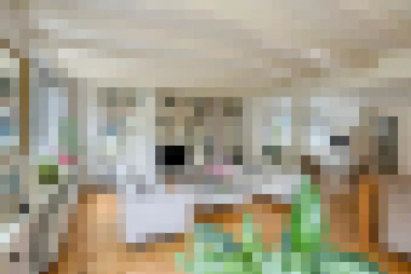 Hoofdweg 55 Elsloo thumbnail 9
