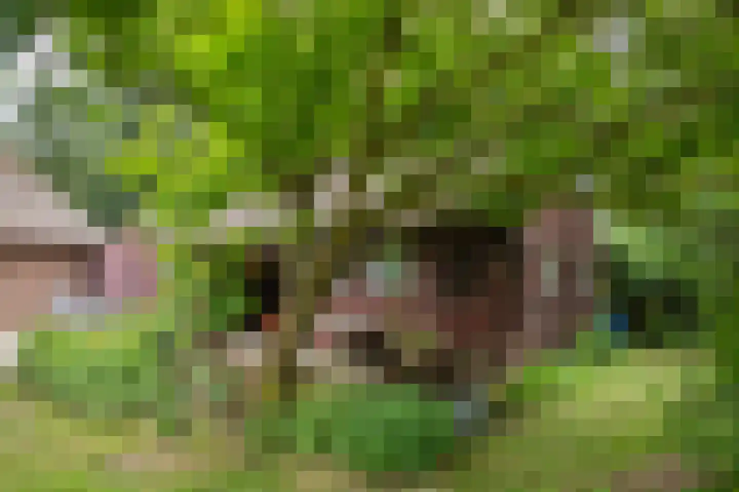 Hoofdweg 57 Klijndijk thumbnail 32