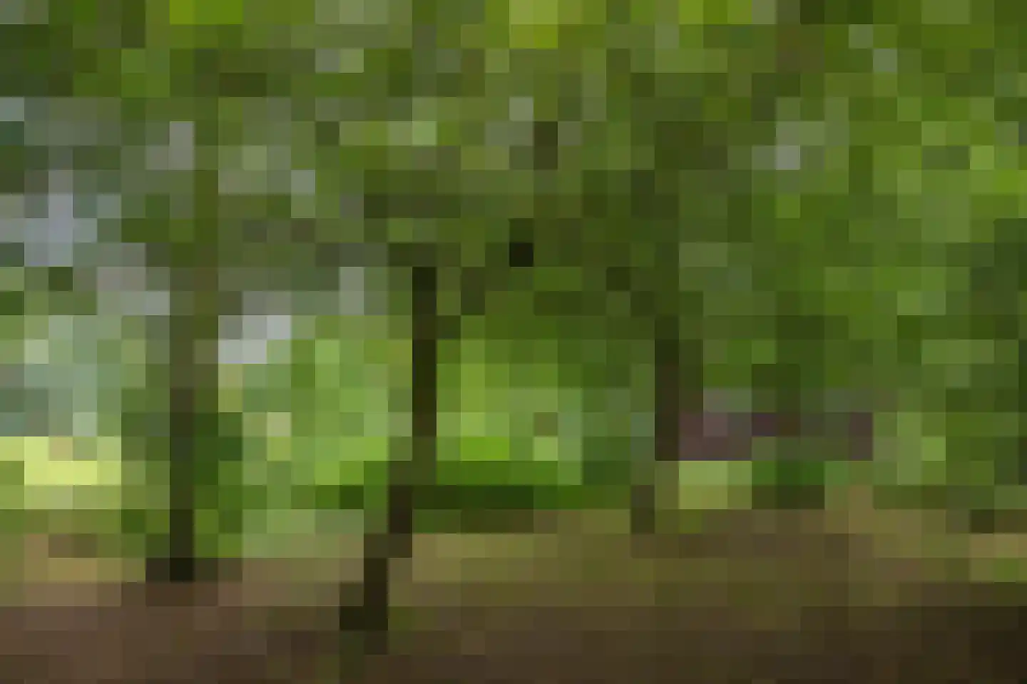 Hoofdweg 57 Klijndijk thumbnail 36