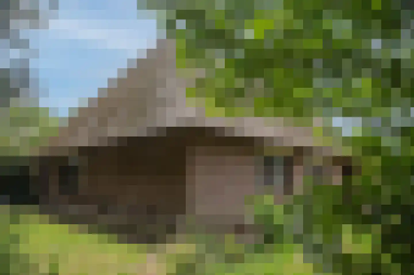 Hoofdweg 57 Klijndijk thumbnail 37