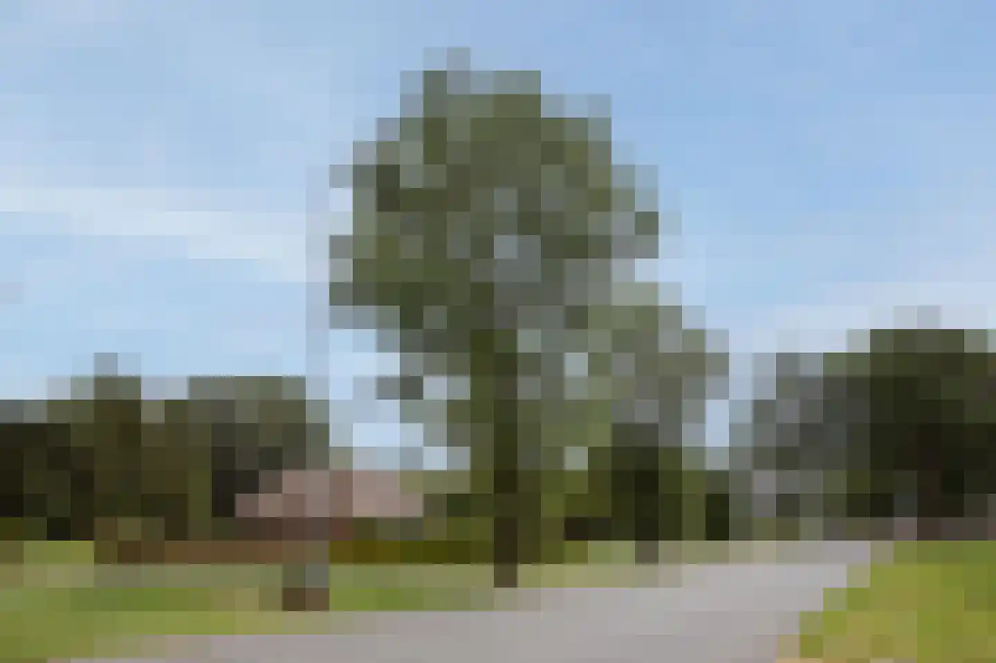 Hoofdweg 57 Klijndijk thumbnail 45