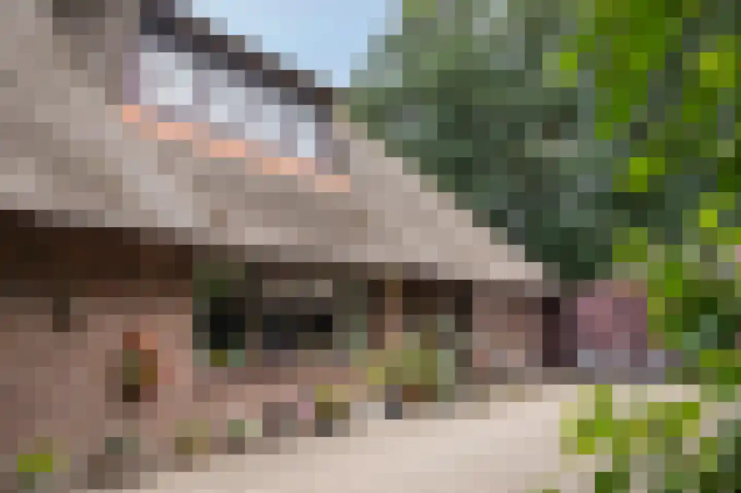 Hoofdweg 57 Klijndijk thumbnail 6