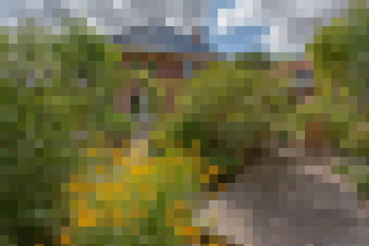 Hoofdweg 57 Lijnden thumbnail 20