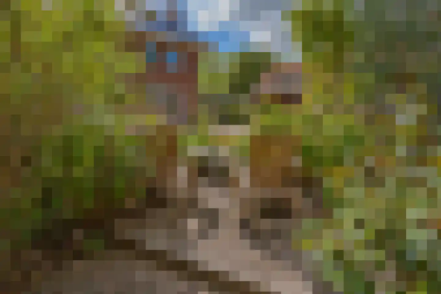 Hoofdweg 57 Lijnden thumbnail 23