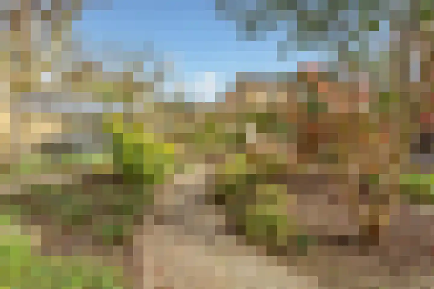 Hoofdweg 57 Lijnden thumbnail 23