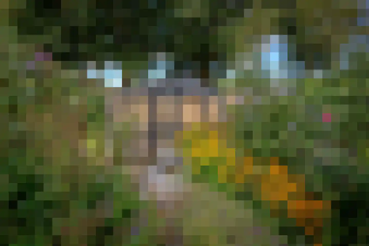 Hoofdweg 57 Lijnden thumbnail 24