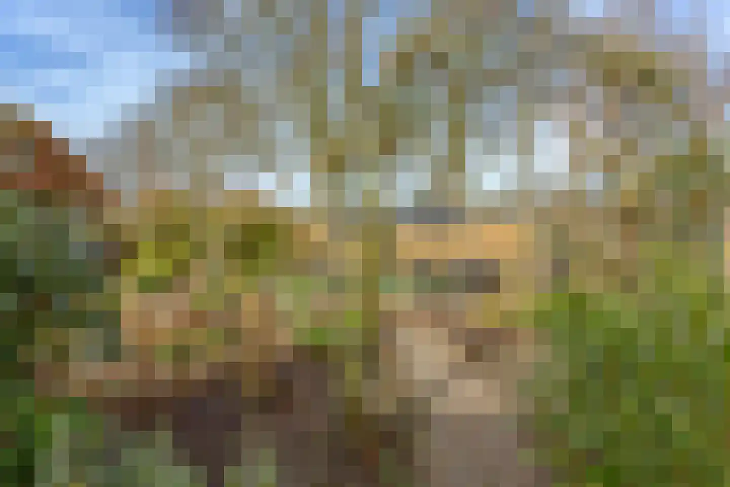 Hoofdweg 57 Lijnden thumbnail 24