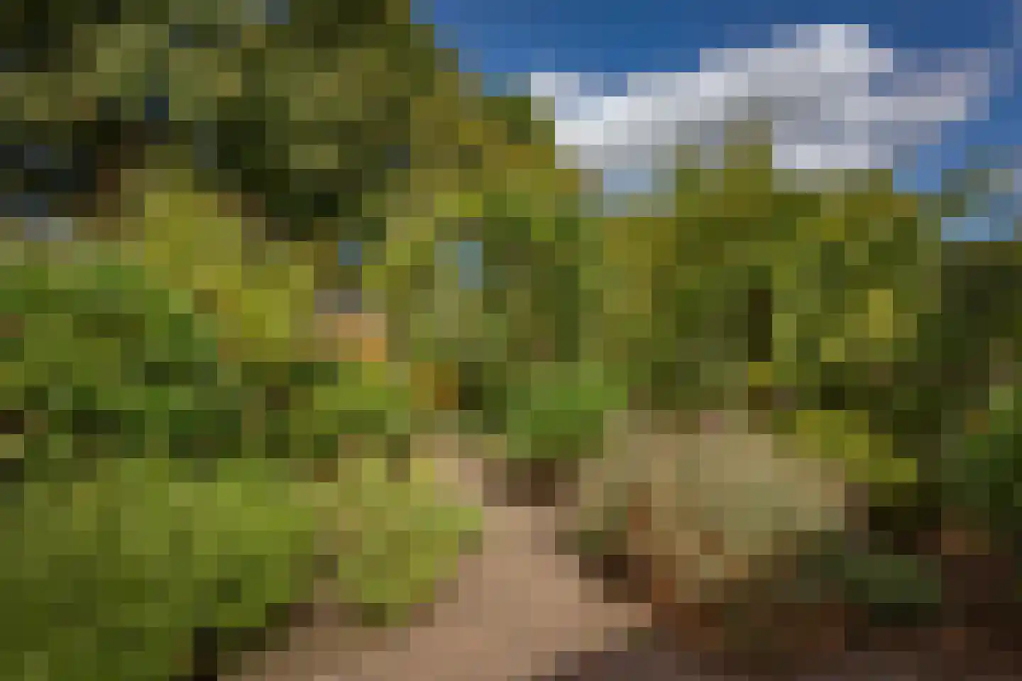 Hoofdweg 57 Lijnden thumbnail 25