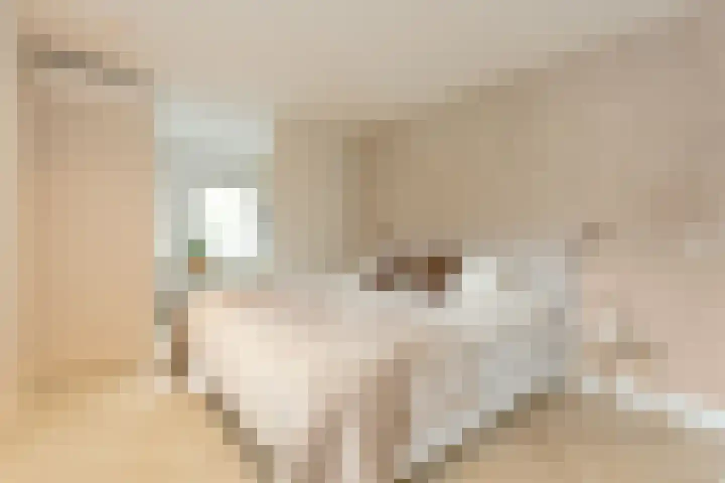 Hoofdweg 57 Lijnden thumbnail 36