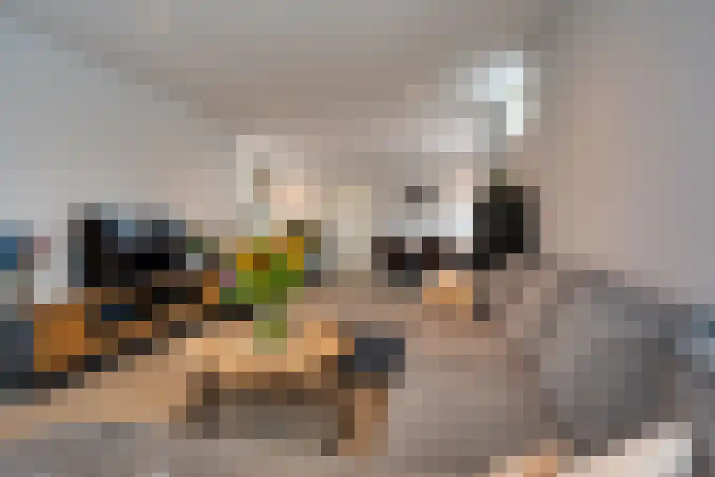 Hoofdweg 57 Smilde thumbnail 5