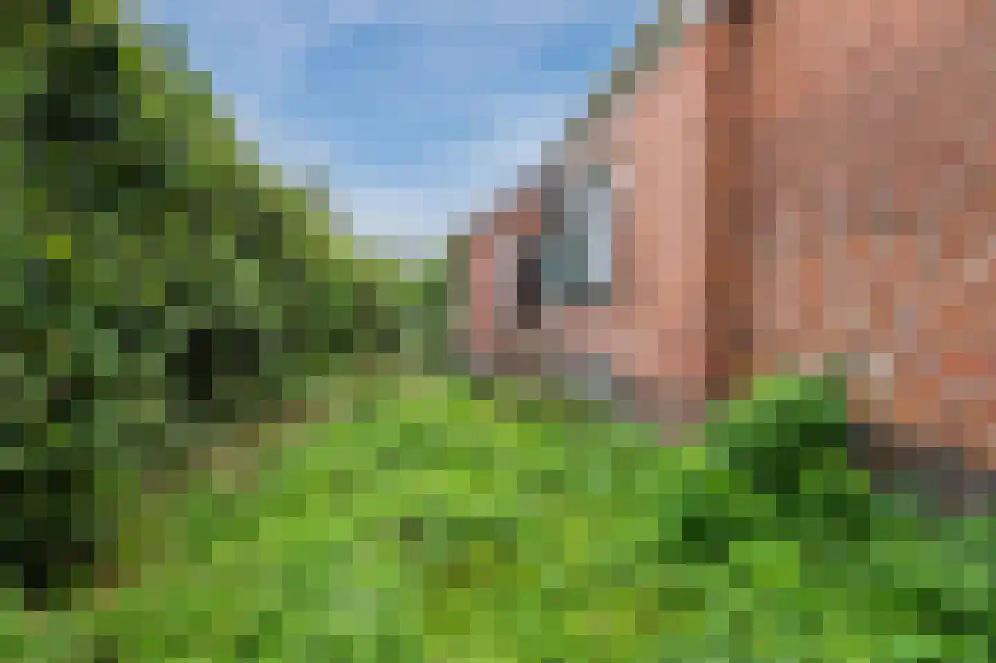 Hoofdweg 58 Blijham thumbnail 9