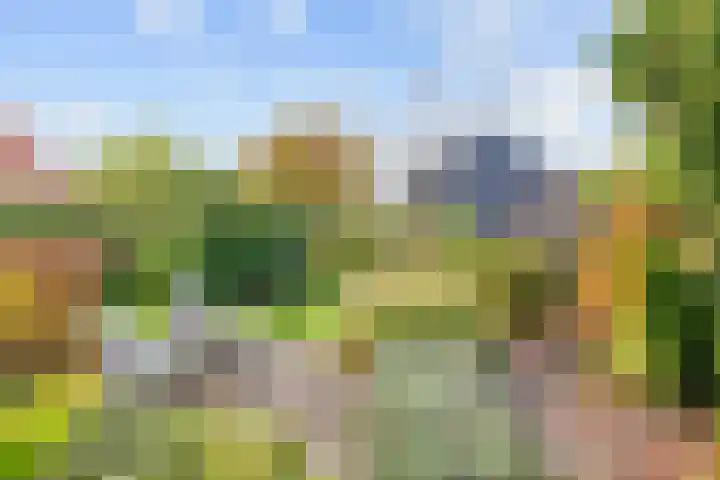 Hoofdweg 58 Schildwolde thumbnail 10