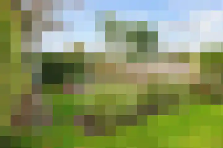 Hoofdweg 58 Schildwolde thumbnail 13