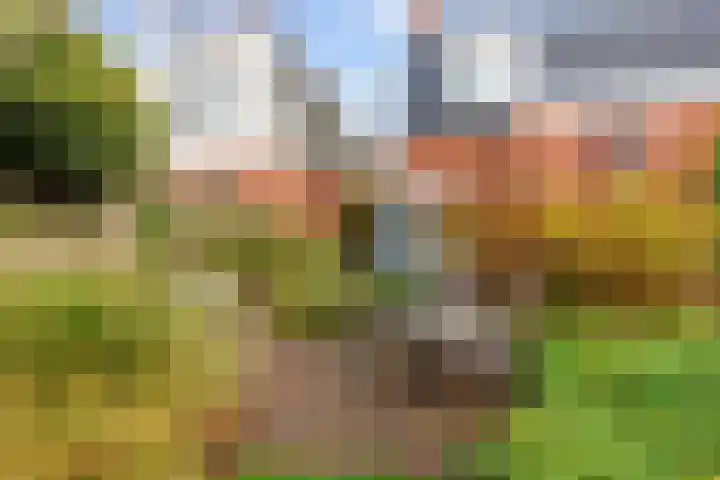 Hoofdweg 58 Schildwolde thumbnail 4
