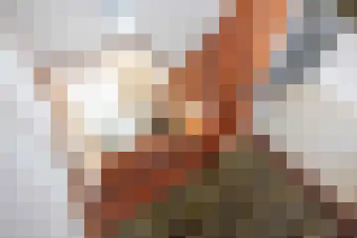 Hoofdweg 58 Schildwolde thumbnail 51