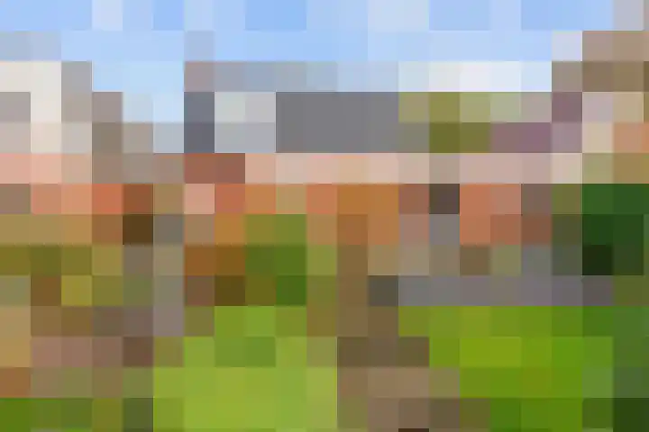 Hoofdweg 58 Schildwolde thumbnail 74