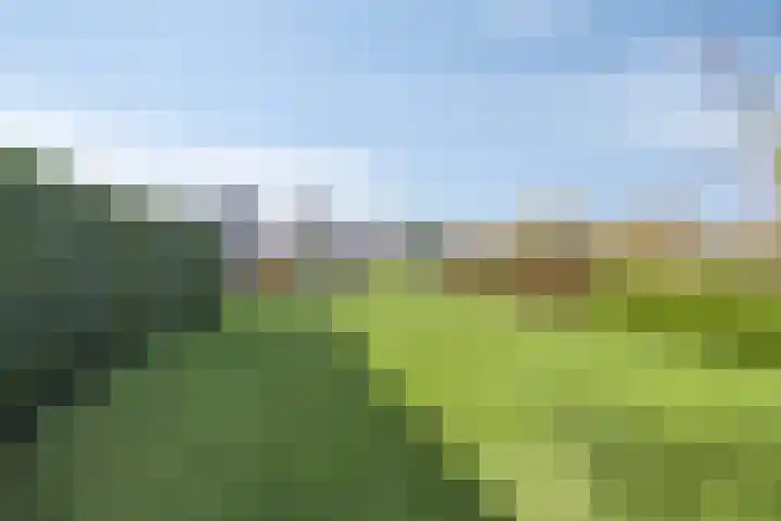 Hoofdweg 58 Smilde thumbnail 50