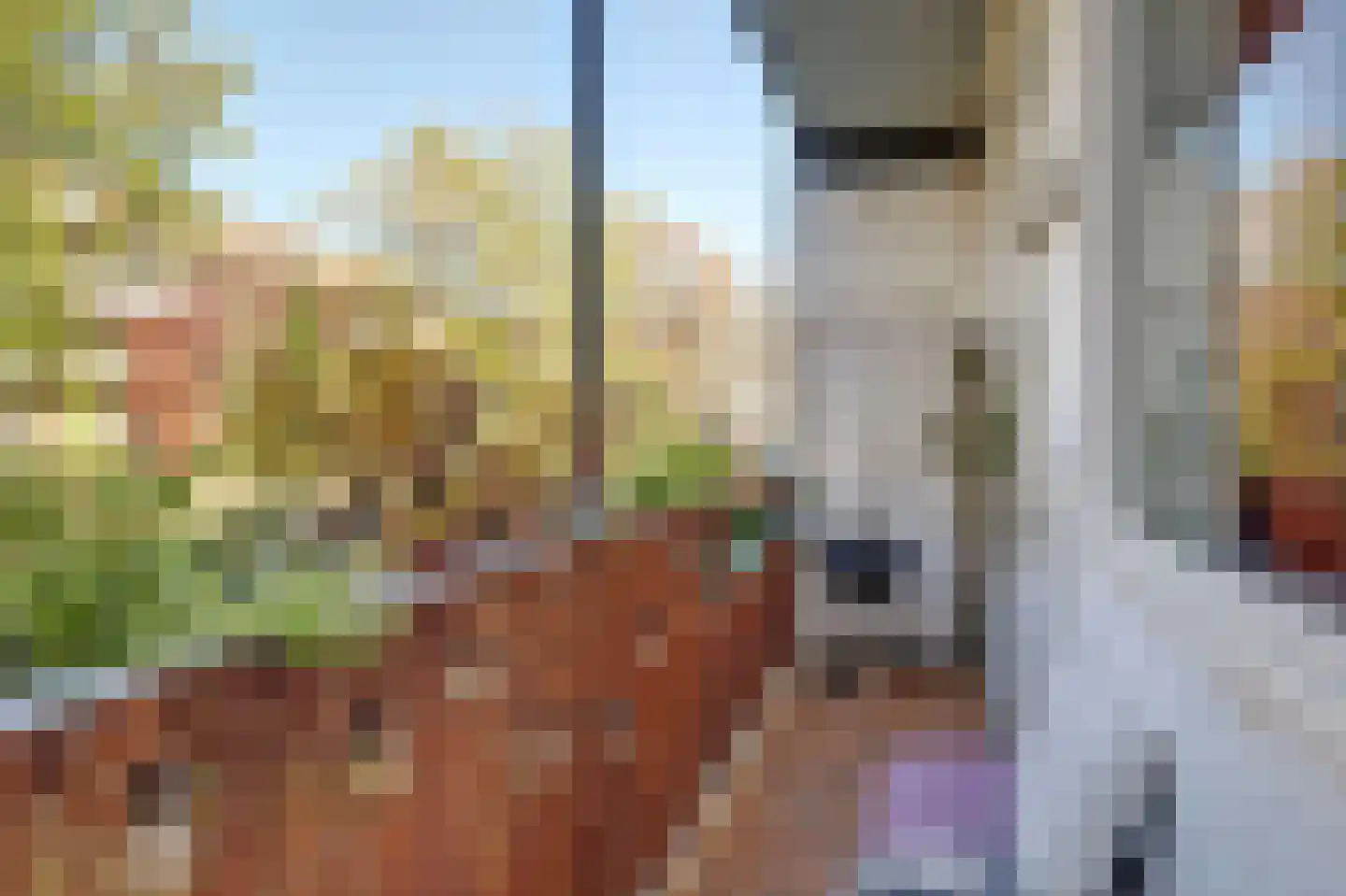 Hoofdweg 59 1 Amsterdam thumbnail 11