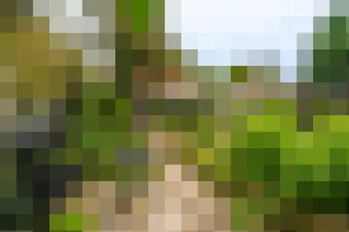 Hoofdweg 59 Blijham thumbnail 19