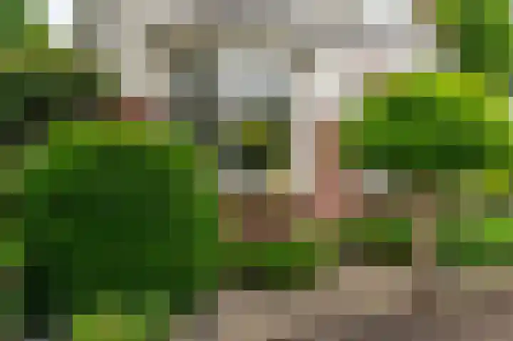 Hoofdweg 59 Blijham thumbnail 7