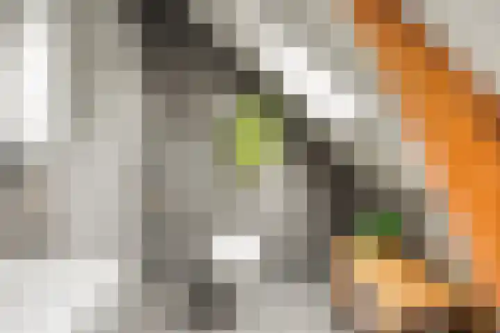 Hoofdweg 59 Loenen thumbnail 33