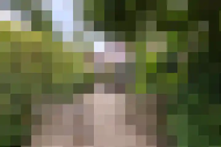Hoofdweg 59 Loenen thumbnail 4