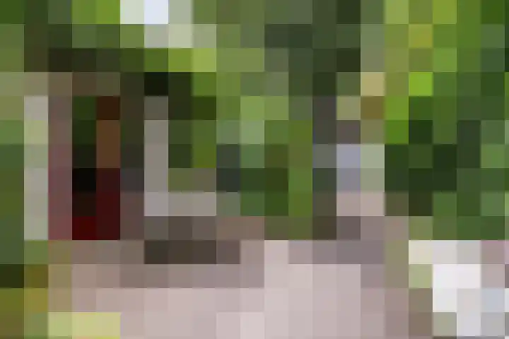 Hoofdweg 59 Loenen thumbnail 5