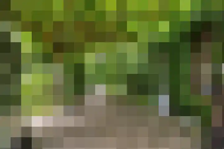 Hoofdweg 59 Loenen thumbnail 7
