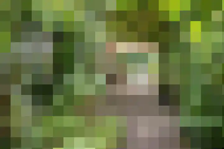 Hoofdweg 59 Loenen thumbnail 8