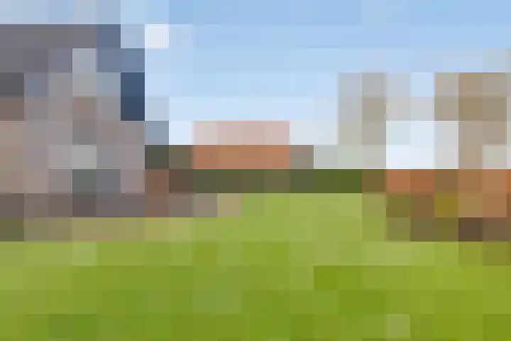 Hoofdweg 59 Steenbergen thumbnail 46