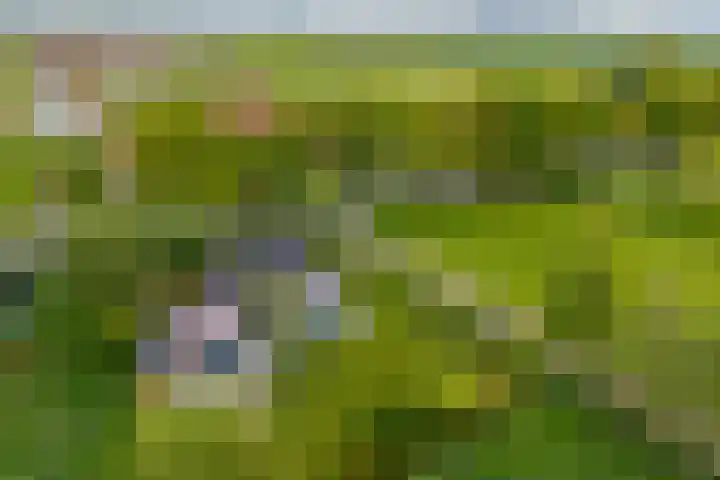Hoofdweg 6 A Scharmer thumbnail 10