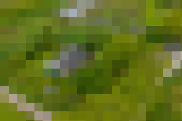 Hoofdweg 6 A Scharmer thumbnail 11