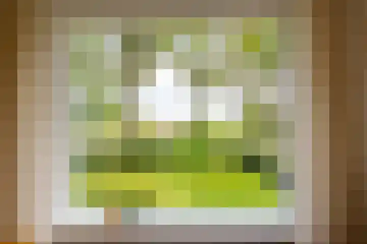 Hoofdweg 6 A Scharmer thumbnail 17