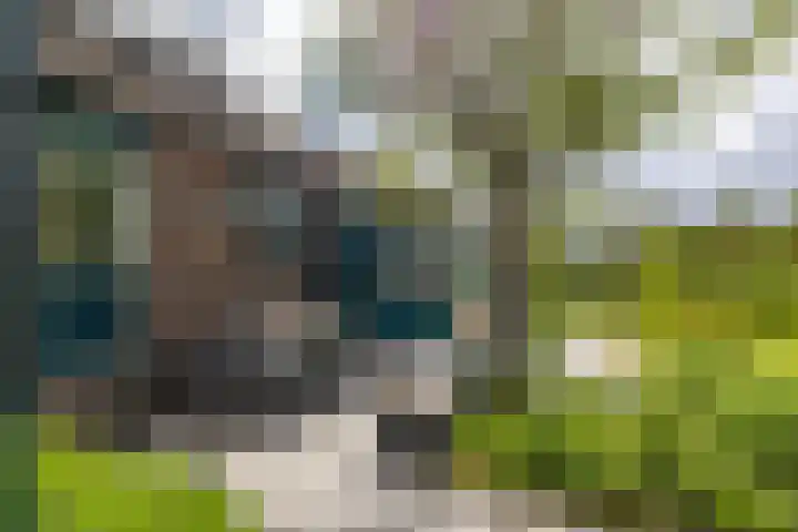 Hoofdweg 6 A Scharmer thumbnail 4