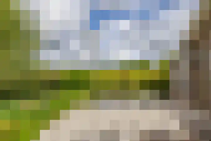 Hoofdweg 6 A Scharmer thumbnail 49