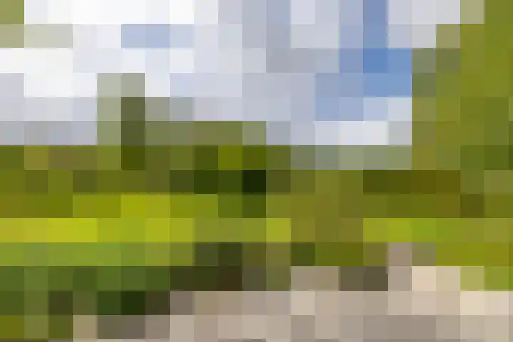 Hoofdweg 6 A Scharmer thumbnail 5