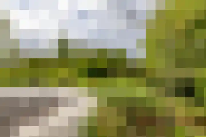 Hoofdweg 6 A Scharmer thumbnail 50