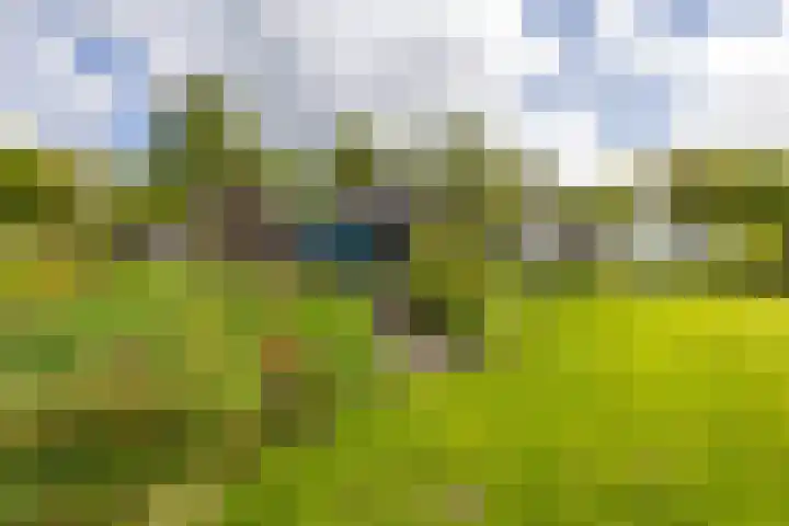 Hoofdweg 6 A Scharmer thumbnail 51