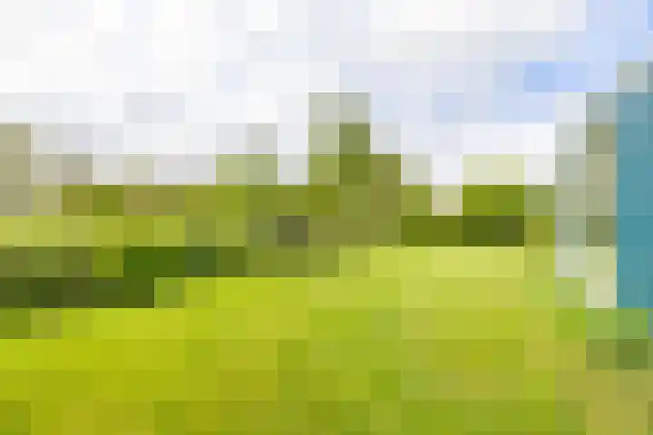 Hoofdweg 6 A Scharmer thumbnail 52