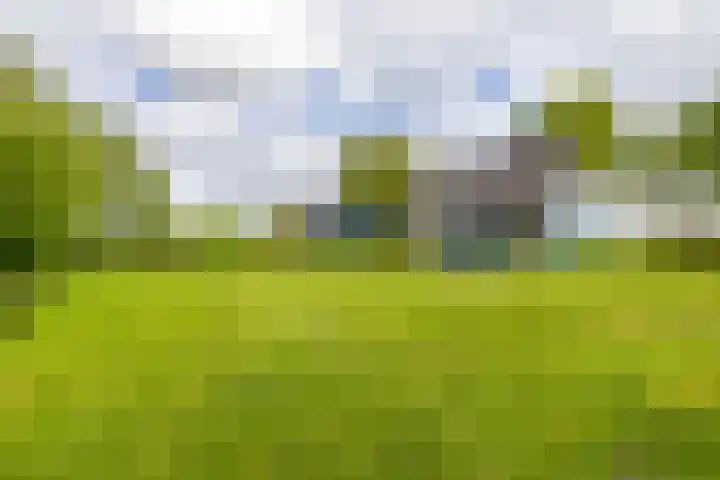 Hoofdweg 6 A Scharmer thumbnail 53