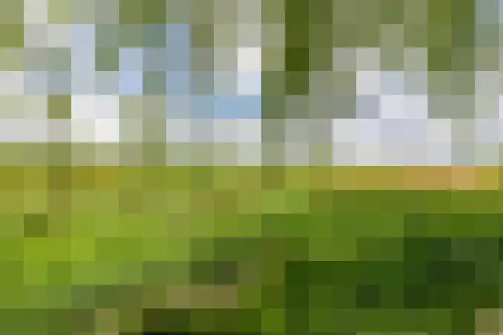 Hoofdweg 6 A Scharmer thumbnail 54