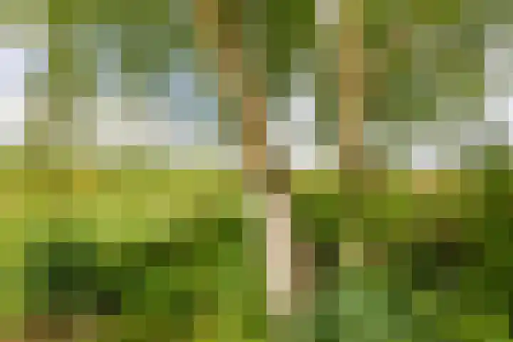 Hoofdweg 6 A Scharmer thumbnail 55