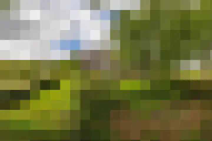 Hoofdweg 6 A Scharmer thumbnail 56
