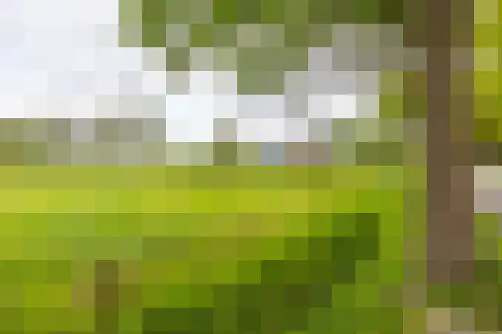 Hoofdweg 6 A Scharmer thumbnail 57