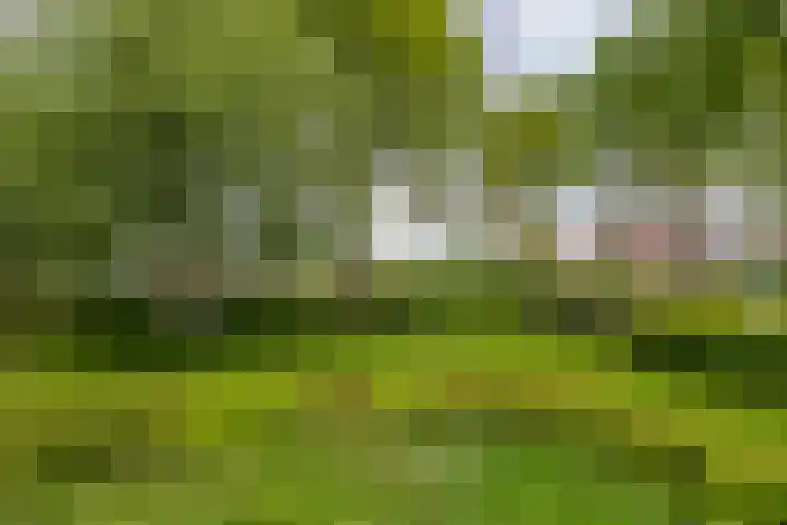 Hoofdweg 6 A Scharmer thumbnail 6