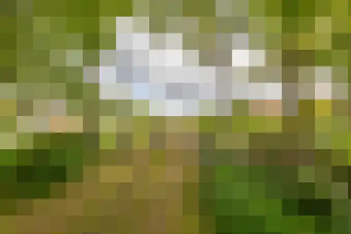 Hoofdweg 6 A Scharmer thumbnail 7